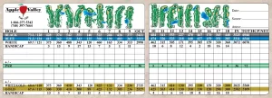 Apple Valley Golf Course Scorecard