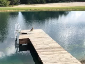 Flash Lodge treated swimming pond